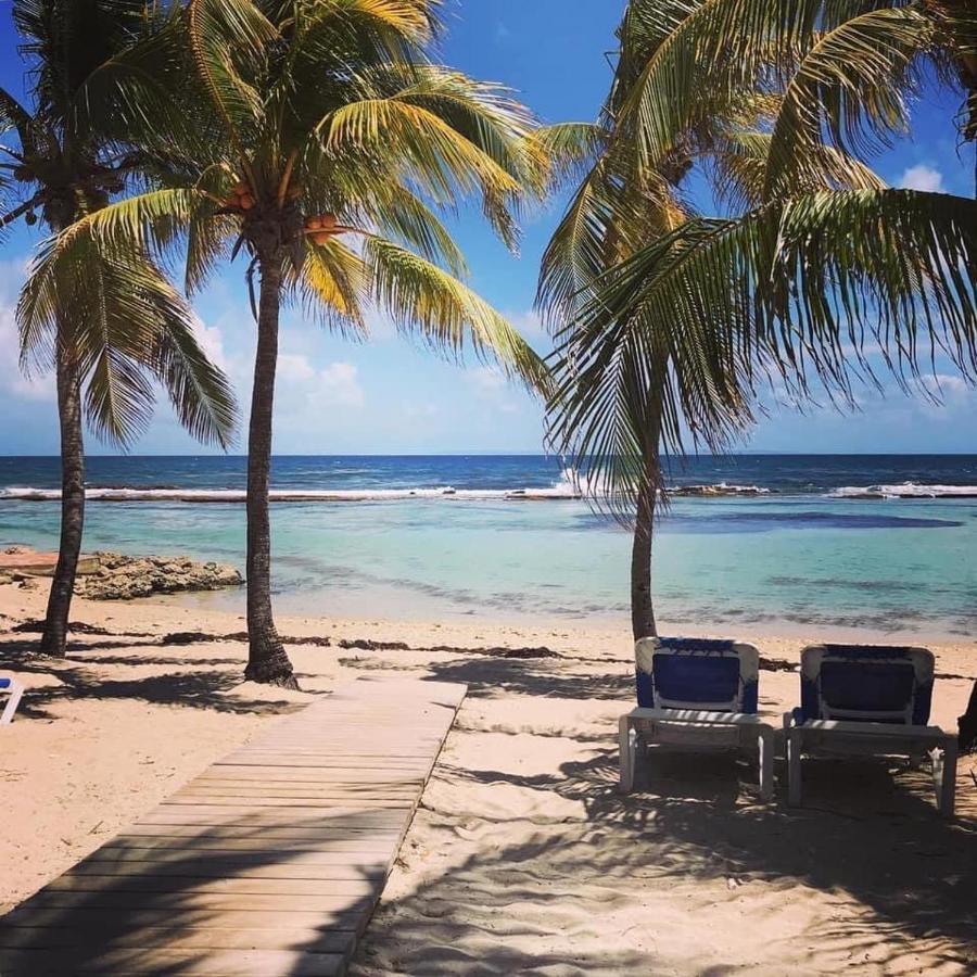 Studio Tahiti Vue Mer Saint-Francois  Eksteriør billede